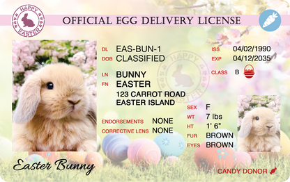 EASTER BOX CUSTOM FILE